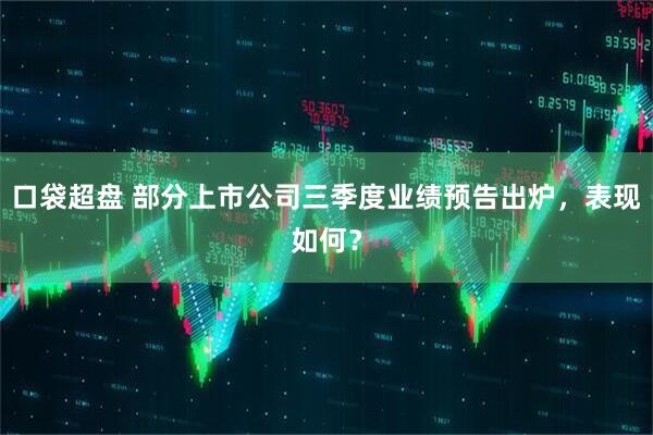 口袋超盘 部分上市公司三季度业绩预告出炉，表现如何？