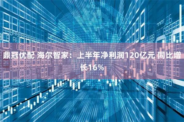 鼎冠优配 海尔智家：上半年净利润120亿元 同比增长16%