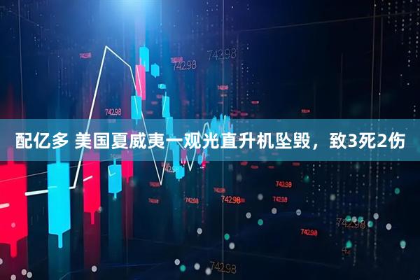 配亿多 美国夏威夷一观光直升机坠毁，致3死2伤